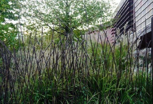 Mimic Trees or Grass